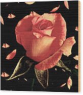 Rose Petals Wood Print