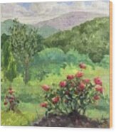 Roses On The Mountaintop Wood Print