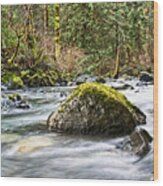 Rosewall Creek 2 Wood Print