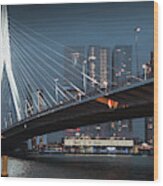 Rotterdam City Skyline Ii Wood Print