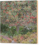 Rowan Tree, Bilberries And Heather Wood Print