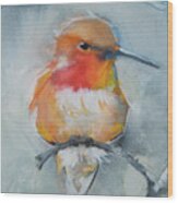 Rufous Hummingbird Wood Print