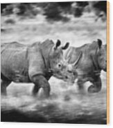 Running Rhinos, South Africa Wood Print
