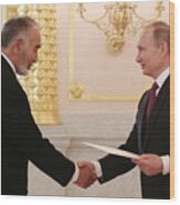 Russian President Putin receives credentials from foreign ambassadors Wood Print