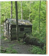 Rustic Camp Cabin Wood Print
