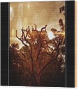 Rustic Glowing Tree Wood Print