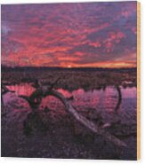 Rutland Dunn-set -  Spectacular Sunset Above Wetlands And Pond With Arched Deadwood Log In Wisconsin Wood Print