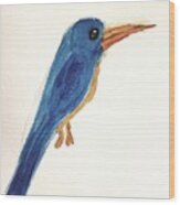 Sacred Hummingbird Wood Print
