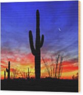 Saguaro Ocotillo Sunset Crescent Moon, Arizona Wood Print