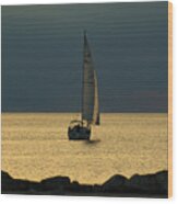 Sailing At Sunset Wood Print