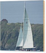 Sailing In St Martin Wood Print