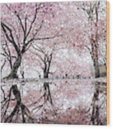 Sakura Spring Pink Wood Print