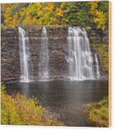 Salmon River Falls In Autumn Wood Print