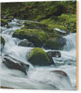 Salmon River Rapids Wood Print