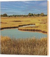 Salt Marsh Photograph Wood Print