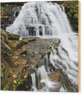 Salt Springs Waterfall Wood Print