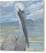 https://render.fineartamerica.com/images/rendered/small/wood-print/images/artworkimages/square/3/salty-pelican-paul-brent.jpg