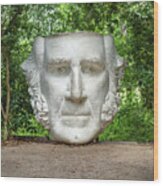 Sam Houston Head Statue Wood Print