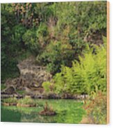 San Antonio Japanese Garden Landscape And Pond Two Wood Print