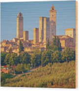 San Gimignano Skyline Wood Print