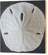 Sand Dollar Wood Print