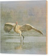 Sandhill Crane - Admiration Wood Print