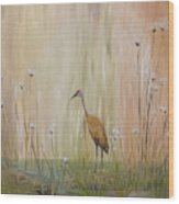 Sandhill Crane Wood Print