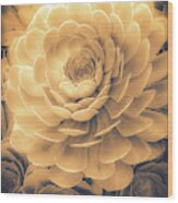 Santa Barbara Succulent#22 Wood Print