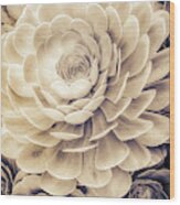 Santa Barbara Succulent#23 Wood Print