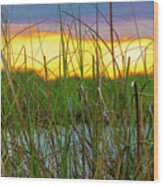 Sawgrass Sunset Wood Print