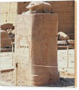 Scarabaeus Monument In Karnak Temple Wood Print