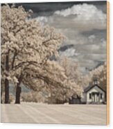 School's Out Forever - One Room Schoolhouse In Cooksville Wisconsin Wood Print