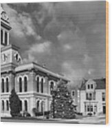 Scott County Courthouse And City Hall Bw Wood Print
