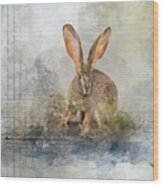 Scrub Hare4 Wood Print