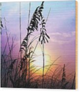 Sea Oats Wood Print