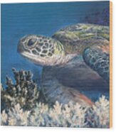 Sea Turtle At Rest Wood Print