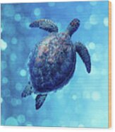 Sea Turtle Bubbly Blues Wood Print