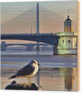 Seagull And Downtown Toledo Bridges 9163 Wood Print