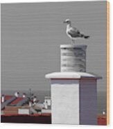 Seagull On A Chimney In Arenal Den Castell Wood Print