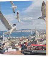 Seagulls Of Istanbul Wood Print