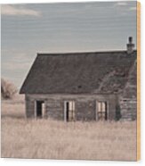 See Through Schoolhouse - Lake Ibsen Schoolhouse, Benson County, Nd Near Brinsmade Wood Print