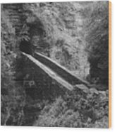Sentry Bridge At Watkins Glen Wood Print