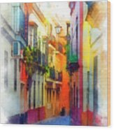 Seville, The Colorful Streets Of Spain - 37 Wood Print