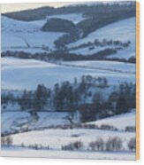 Shades Of White - Rolling Hills Wood Print