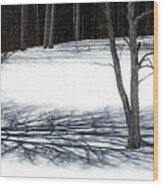 Shadows At Noonday Wood Print