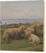 Sheep By The Sea, 1865 Wood Print