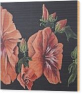 Sherbet Hibiscus Wood Print