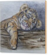 Shhh Tiger Cub Is Sleeping Wood Print
