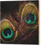 Shy Peacock Feather Eyes Wood Print