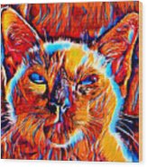 Siamese Cat Face In The Sun - Colorful Dark Orange, Red And Cyan Wood Print